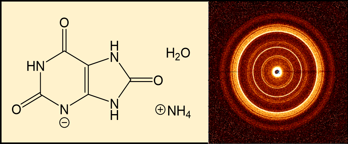 Biogenic Ammonium